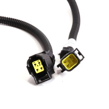 Carregar imagem no visualizador da galeria, BBK 05-20 Dodge 4 Pin Square Style O2 Sensor Wire Harness Extensions 12 (pair)