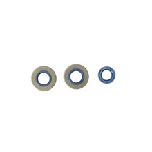 Carregar imagem no visualizador da galeria, Athena Francomorini 2T M03/M04 48 Engine Oil Seals Kit
