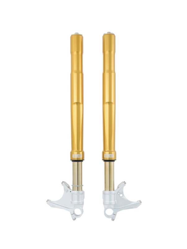Ohlins 11-15 Kawasaki ZX-10R FGRT 200 Fork