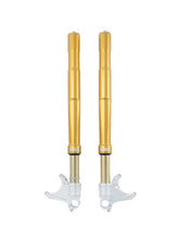 Carregar imagem no visualizador da galeria, Ohlins 08-18 BMW S 1000 RR FGRT 200 Fork
