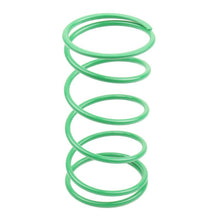 Carregar imagem no visualizador da galeria, Athena BSV DIO GP 50 25Kg Green Contrast Spring (Bore 50mm)