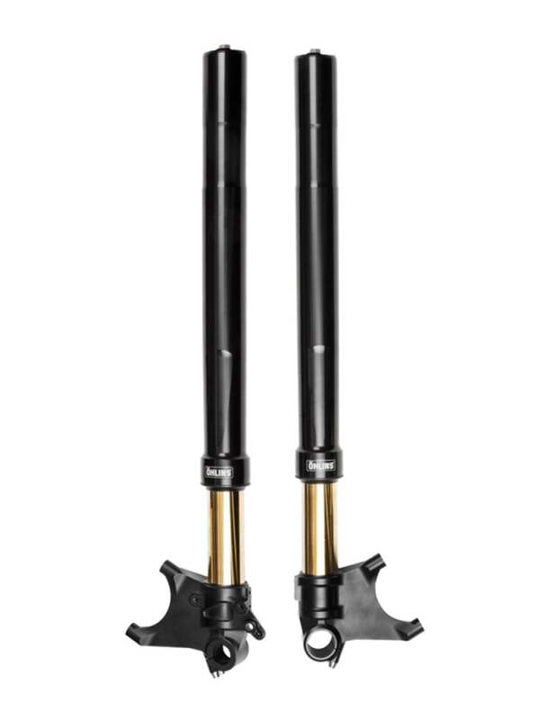 Ohlins 11-18 Ducati Diavel Custom 48 Blackline Fork