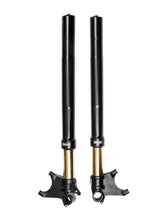 Load image into Gallery viewer, Ohlins 11-18 Ducati Diavel Custom 48 Blackline Fork