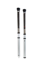 Load image into Gallery viewer, Ohlins 17-23 BMW R nineT NIX 30 Street Cartridge Kit (Springs/Oil Sold Separately)