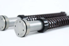 Load image into Gallery viewer, Ohlins 07-16 Harley Sportster XL NIX 22 Cust/Heritage Cartridge Kit (Incl. Springs 08428-80 / 90)