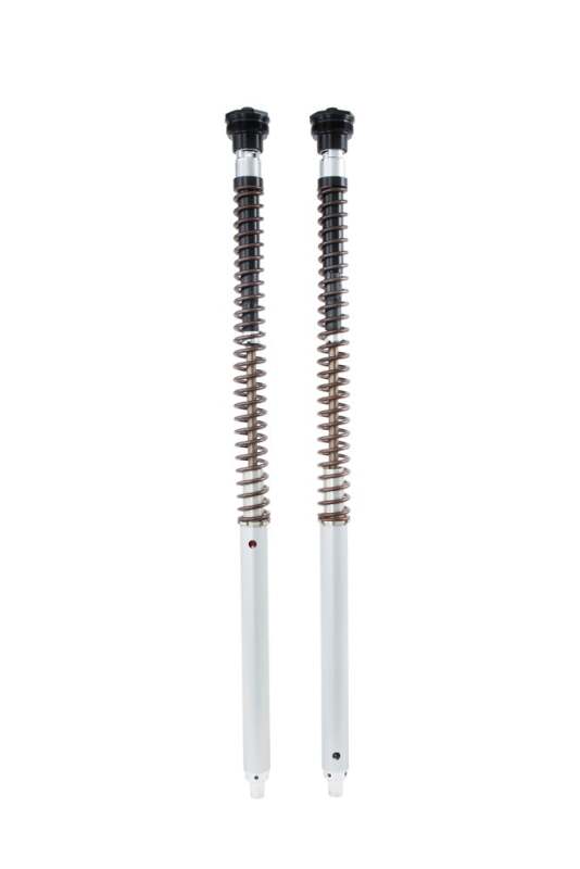 Ohlins 21-23 Honda CRF300L (Asian version) FKA 100 Cartridge Kit