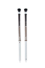 Load image into Gallery viewer, Ohlins 19-23 Yamaha Tenere 700 NIX 30 Adventure Cartridge Kit (Springs/Oil Sold Separately)