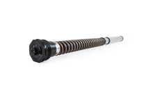 Load image into Gallery viewer, Ohlins 21-23 Ducati Monster 950 NIX 30 Street Cartridge Kit (Springs/Oil Sold Separately)