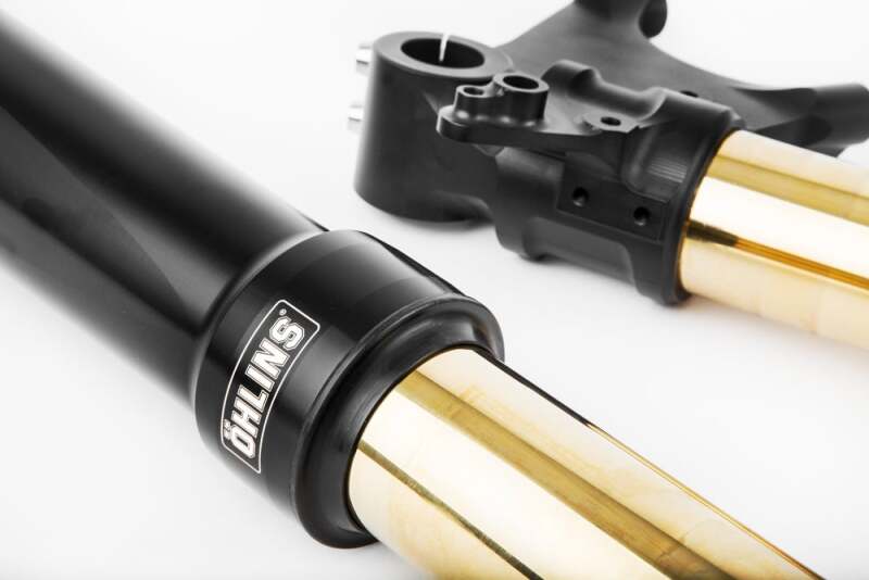 Ohlins 11-18 Ducati Diavel Custom 48 Blackline Fork