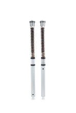 Carregar imagem no visualizador da galeria, Ohlins 19-22 BMW S 1000 RR NIX 30 Cartridge Kit (Springs/Oil Sold Separately)