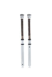 Ohlins 19-23 Yamaha R3 NIX 22 Cartridge Kit (Springs/Oil Sold Separately)