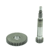 Carregar imagem no visualizador da galeria, Athena Primary Gear Z 15/42