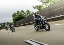 Load image into Gallery viewer, Ohlins 04-20 Harley-Davidson Sportster XL STX 36 Twin Shock Absorber