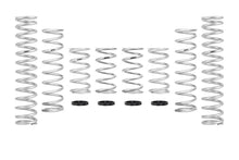 Carregar imagem no visualizador da galeria, Eibach 15-16 Can-Am Maverick Pro-UTV - Stage 2 Performance Spring System (Set Of 8 Springs)