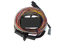 Load image into Gallery viewer, Haltech Elite 550 8ft Premium Universal Wire-In Harness