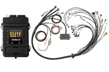 Carregar imagem no visualizador da galeria, Haltech Elite 2500 Terminated Harness ECU Kit w/ EV1 Injector Connect/Early Cam Solenoid