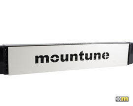 mountune 14-19 Ford Fiesta ST Intercooler Upgrade