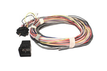 Carregar imagem no visualizador da galeria, FAST Wiring Harness W/Relay FAST