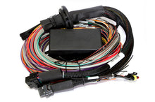 Carregar imagem no visualizador da galeria, Haltech Elite 2500 &amp; 2500 T 8ft Premium Universal Wire-In Harness