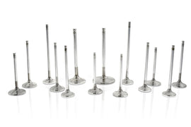 Ferrea Ford Zetec ZX3 33mm 6.03mm 25 Deg S-Flo +1mm Competition Plus Intake Valve - Single
