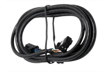 Carregar imagem no visualizador da galeria, Haltech CAN Cable 8 Pin Black Tyco to 8 Pin Black Tyco 75mm (3in)