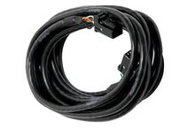Carregar imagem no visualizador da galeria, Haltech CAN Cable 8 Pin Black Tyco to 8 Pin Black Tyco 300mm (12in)