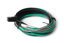 Carregar imagem no visualizador da galeria, Haltech 3ft TCA2 Dual Channel Thermocouple Amplifier Flying Lead Harness
