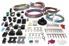 Carregar imagem no visualizador da galeria, FAST Wiring Harness FAST XFI