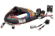 Load image into Gallery viewer, Haltech Elite Race Expansion Module 16 Sequential Injector Upgrade 8ft Universal Wire-In Harness