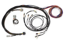 Load image into Gallery viewer, Haltech Elite VMS &amp; VMS T Semi-Terminated Harness Kit