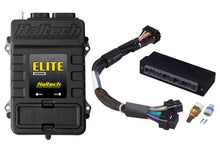 Carregar imagem no visualizador da galeria, Haltech Elite 1000 Adaptor Harness ECU Kit