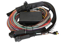 Load image into Gallery viewer, Haltech Elite 2000 8ft Premium Universal Wire-In Harness