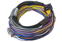 Load image into Gallery viewer, Haltech Elite 950 8ft Basic Universal Wire-In Harness