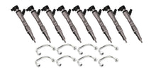 Load image into Gallery viewer, DDP Ford 6.4L 08-10 Injector Set - Custom Super Mental