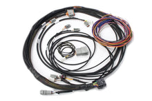 Load image into Gallery viewer, Haltech Elite VMS &amp; VMS T Semi-Terminated Harness Kit
