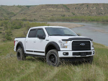 Carregar imagem no visualizador da galeria, EGR 15+ Ford F150 Bolt-On Look Fender Flares - Set - Matte (793475)