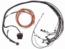 Load image into Gallery viewer, Haltech V8 Big/Small Block GM/Ford/Chrysler Elite 950 Terminated Harness w/EV1 Injector Connectors