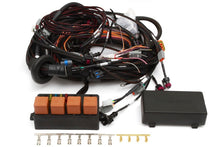 Load image into Gallery viewer, Haltech 06-07 Subaru WRX/STI (2.5L DENSO ECU Only) Elite 2500 Plug-n-Play Adaptor Harness