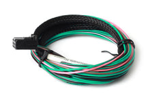 Carregar imagem no visualizador da galeria, Haltech 3ft TCA4 Quad Channel Thermocouple Amplifier Flying Lead Harness