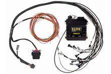 Carregar imagem no visualizador da galeria, Haltech Elite 950 Terminated Harness ECU Kit w/ EV1 Injector Connector