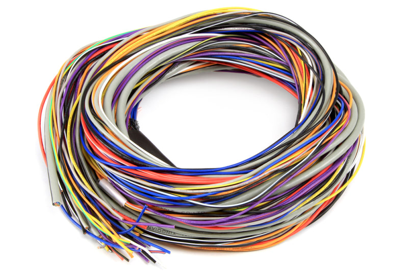 Haltech Wire Pack Basic 4 Cylinder Haltech Color-Coded (8ft / 42 Wires Total)