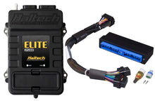 Carregar imagem no visualizador da galeria, Haltech Elite 2500 Adaptor Harness ECU Kit