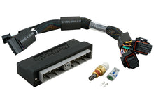 Load image into Gallery viewer, Haltech Nissan Skyline R34 GT-T/Stagea WC34 (M/T Only) Elite 2000/2500 Plug-n-Play Adaptor Harness