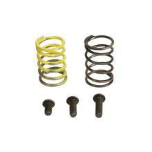 Carregar imagem no visualizador da galeria, Industrial Injection 94-98 Dodge 12V AFC Spring Kit