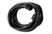 Carregar imagem no visualizador da galeria, Haltech CAN Cable 8 Pin Black Tyco to 8 Pin Black Tyco 2400mm (92in)