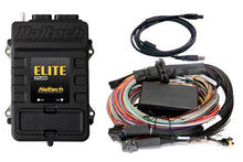 Carregar imagem no visualizador da galeria, Haltech Elite 2500 Premium Universal Wire-In Harness ECU Kit