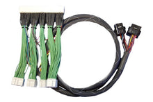 Load image into Gallery viewer, Haltech 2001 Lexus IS300 2JZ Pnp Patch Harness Only